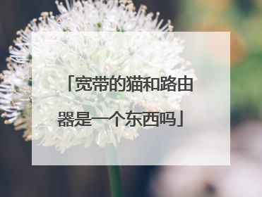 宽带的猫和路由器是一个东西吗