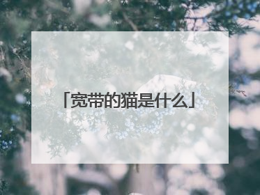 宽带的猫是什么