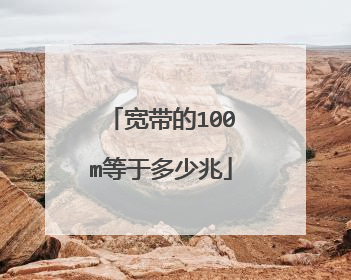 宽带的100m等于多少兆