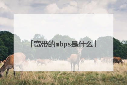 宽带的mbps是什么