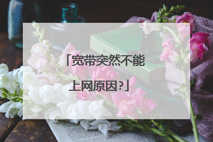 宽带突然不能上网原因?