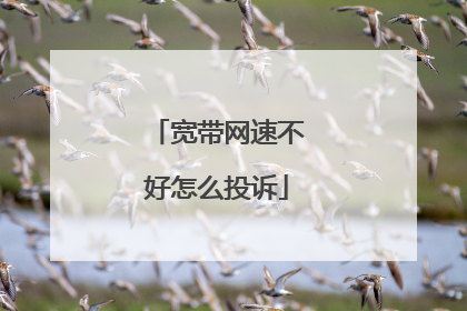 宽带网速不好怎么投诉