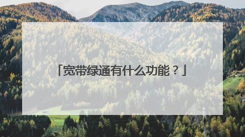 宽带绿通有什么功能？