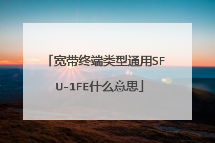 宽带终端类型通用SFU-1FE什么意思
