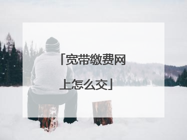 宽带缴费网上怎么交