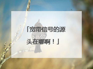 宽带信号的源头在哪啊!