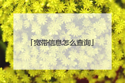 宽带信息怎么查询