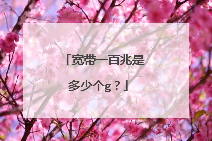 宽带一百兆是多少个g?