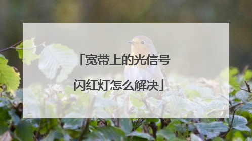 宽带上的光信号闪红灯怎么解决