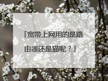 宽带上网用的是路由器还是猫呢？