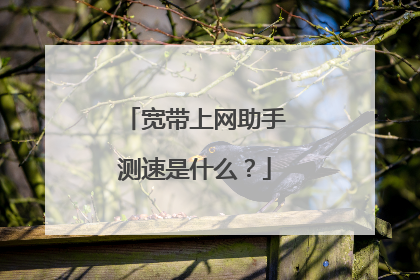宽带上网助手测速是什么?