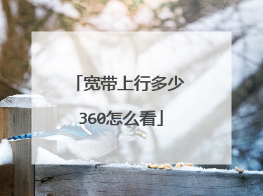 宽带上行多少360怎么看