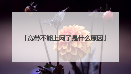 宽带不能上网了是什么原因