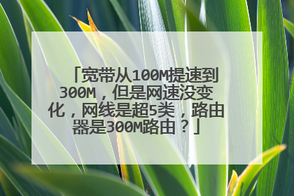宽带从100M提速到300M,但是网速没变化,网线是超5类,路由器是300M路由?