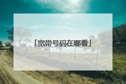 宽带号码在哪看