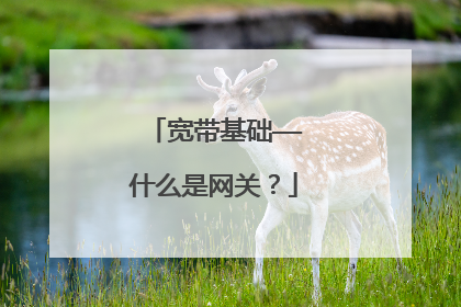 宽带基础——什么是网关?