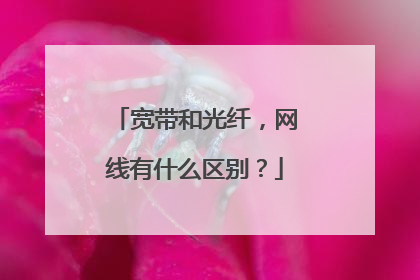 宽带和光纤,网线有什么区别?