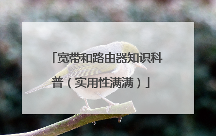 宽带和路由器知识科普(实用性满满)