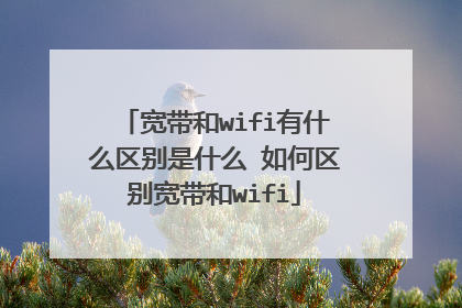 宽带和wifi有什么区别是什么 如何区别宽带和wifi