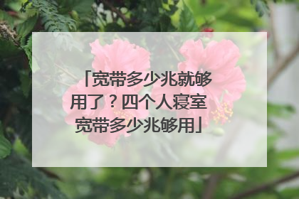 宽带多少兆就够用了?四个人寝室宽带多少兆够用