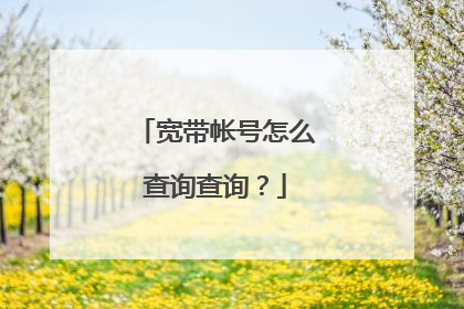 宽带帐号怎么查询查询?