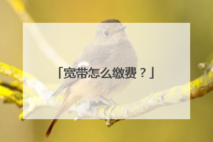 宽带怎么缴费?