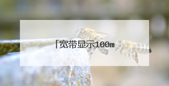 宽带显示100mbps什么意思