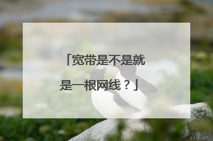 宽带是不是就是一根网线?