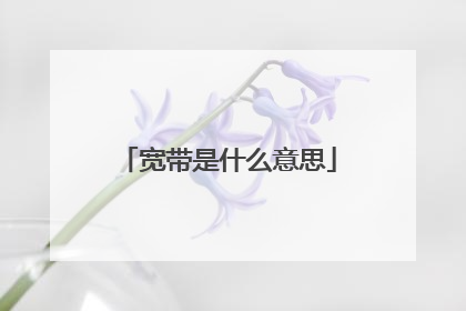 宽带是什么意思