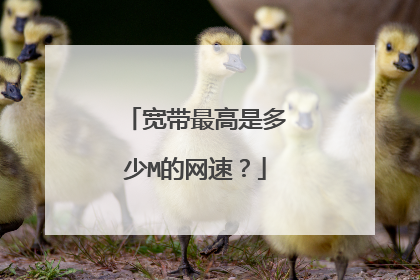 宽带最高是多少M的网速?
