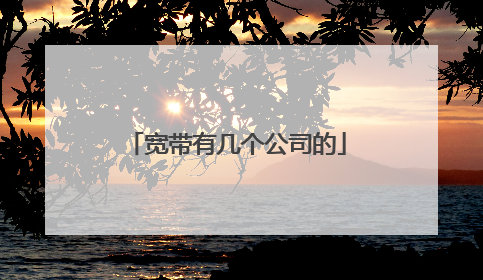 宽带有几个公司的