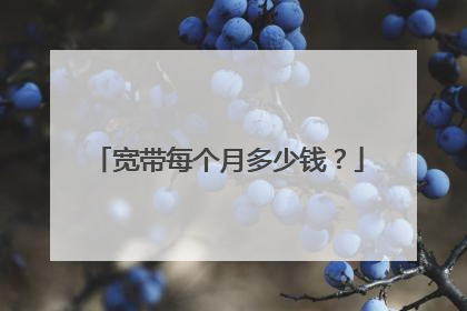 宽带每个月多少钱?