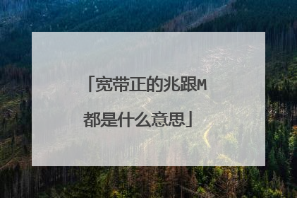 宽带正的兆跟M都是什么意思