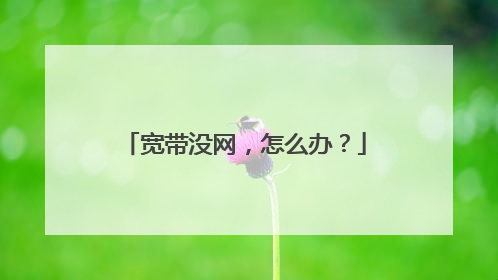 宽带没网，怎么办？