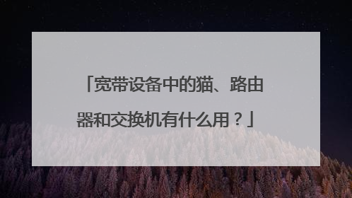 宽带设备中的猫、路由器和交换机有什么用?