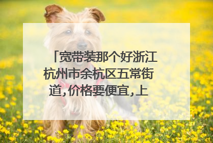 宽带装那个好浙江杭州市余杭区五常街道,价格要便宜,上网速度要快