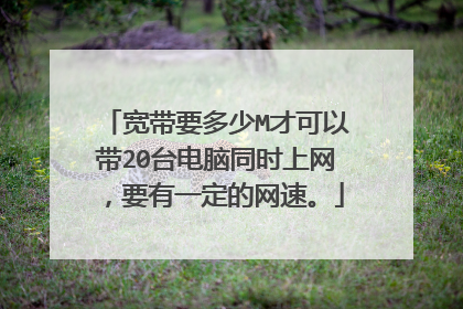 宽带要多少M才可以带20台电脑同时上网，要有一定的网速。