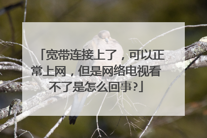 宽带连接上了，可以正常上网，但是网络电视看不了是怎么回事?