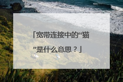 宽带连接中的“猫”是什么意思？