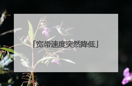 宽带速度突然降低