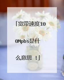 宽带速度100Mpbs是什么意思 !