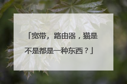 宽带, 路由器，猫是不是都是一种东西？