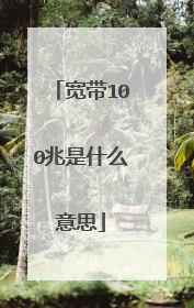 宽带100兆是什么意思