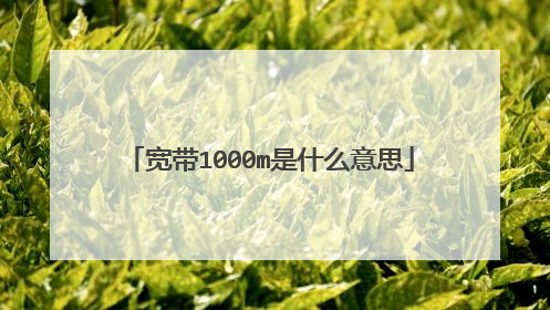 宽带1000m是什么意思