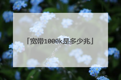 宽带1000k是多少兆