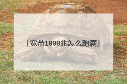 宽带1000兆怎么跑满