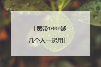 宽带100m够几个人一起用