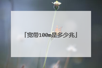 宽带100m是多少兆