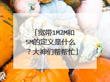 宽带1M2M和5M的定义是什么?大神们帮帮忙