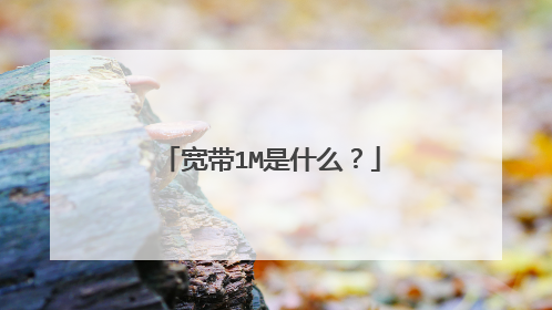 宽带1M是什么？